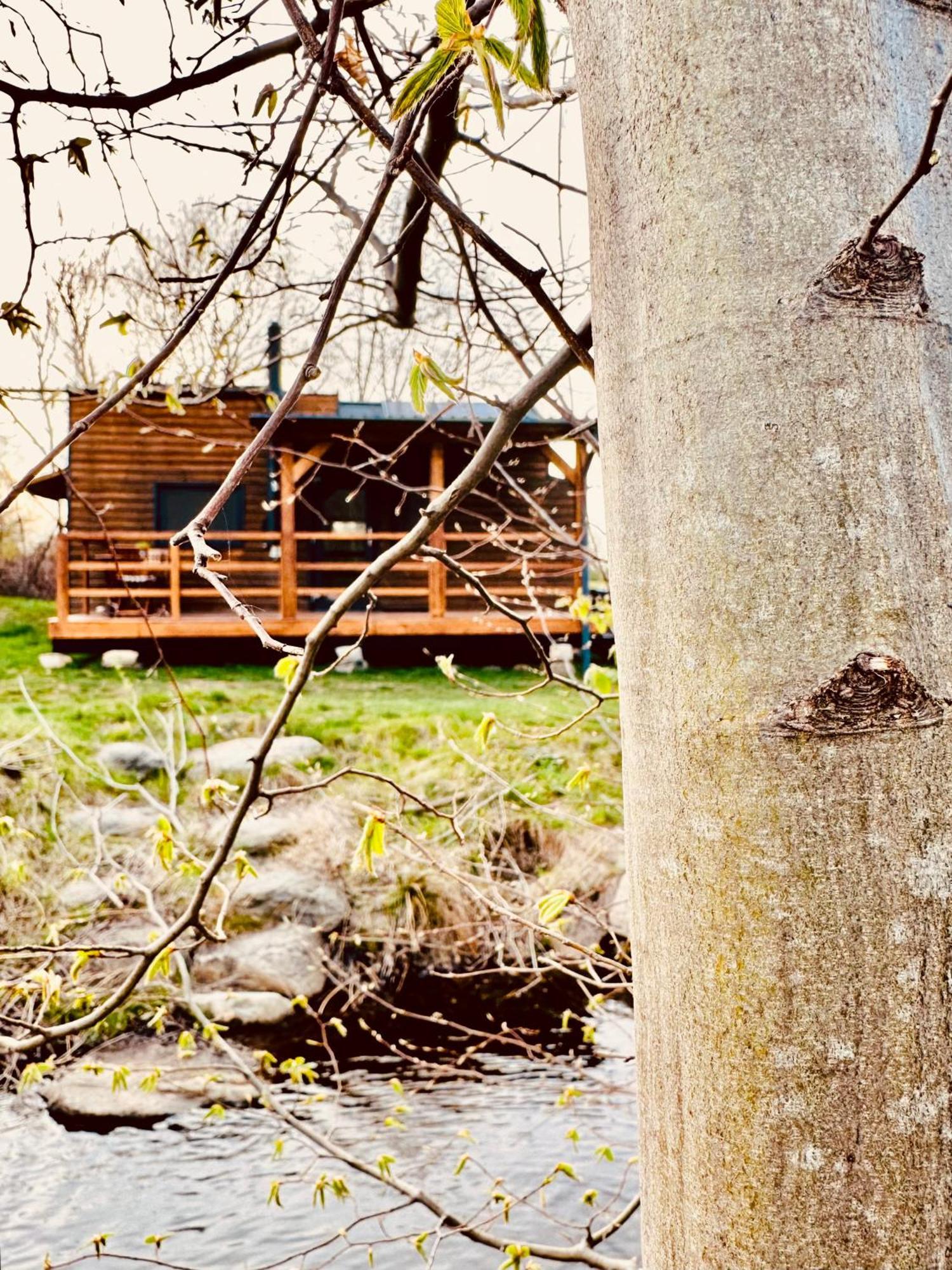 Tiny Home Dejani Eksteriør bilde
